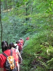 IMG 0851